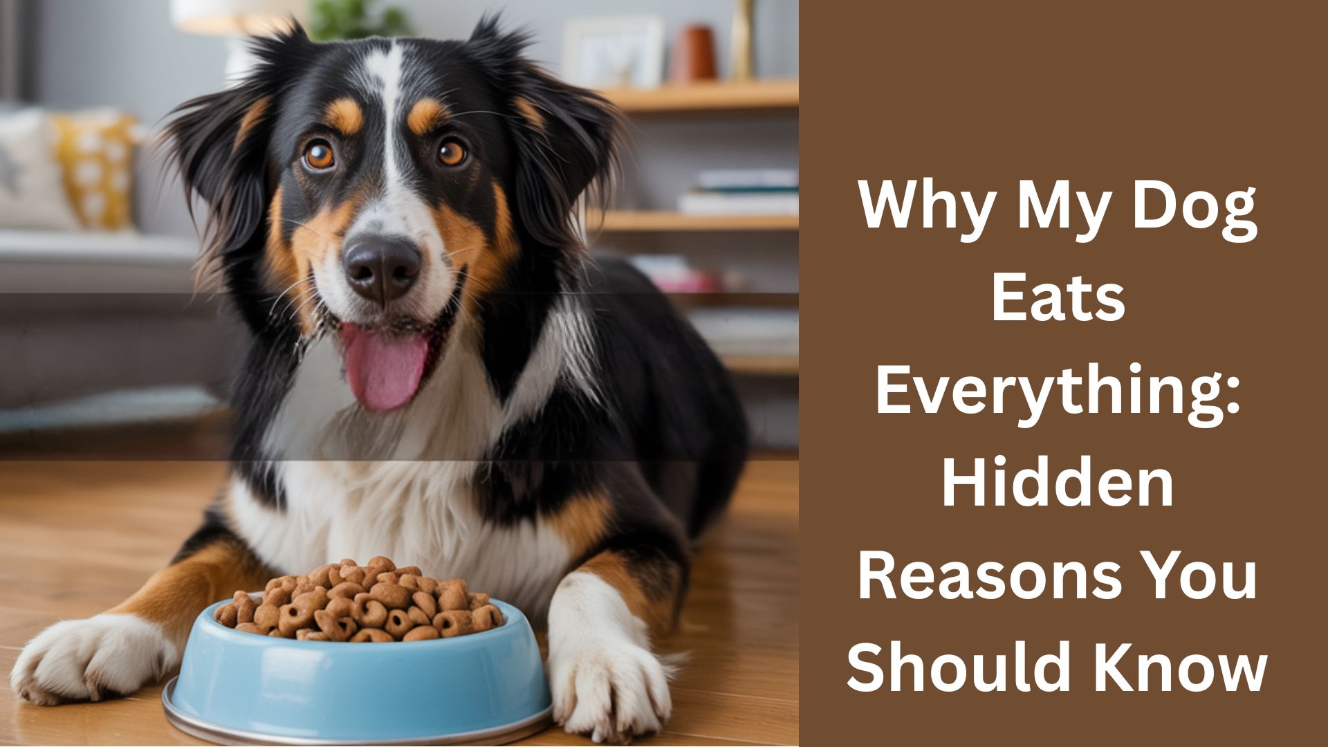 Why My Dog Eats Everything: Hidden Reasons You Should Know